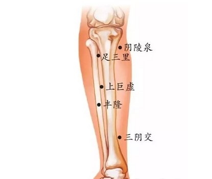 體內濕氣重怎麼調理