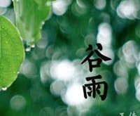 谷雨前后的常见病症有哪些？