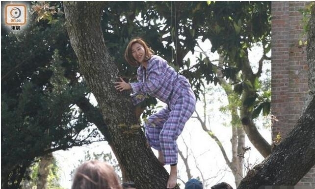 女星高海宁拍戏被倒吊在树上 衣服滑落竟露出这个