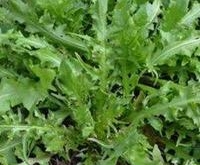 养生护肝的蔬菜有哪些？