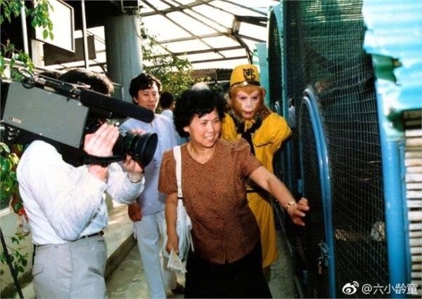 86版西游记导演杨洁去世主演哀悼 曾用7字总结剧集30年不衰