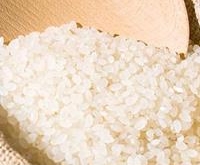 孩子可常吃的养脾食物有哪些？