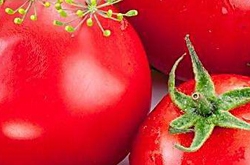 空腹吃什么最伤胃 伤胃食物与行为大盘点