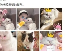 范冰冰晒萌宠恋爱日常 网友:简直是李晨＂夫妇＂