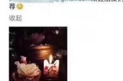 曝奶茶妹妹招助理要求高:懂商务英语好还要会摄