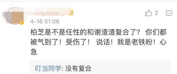 曝秦舒培产女陈冠希当爸 张柏芝被儿子撮合与谢霆锋复合？