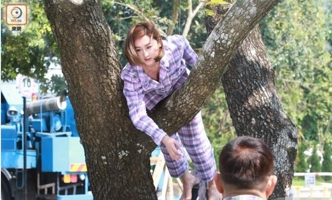 女星高海宁拍戏被倒吊在树上 衣服滑落竟露出这个