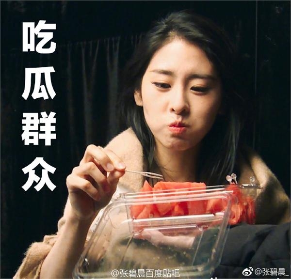 涂磊批白百何虚伪拿孩子当工具 张碧晨被骂后呛黑粉挺白百何