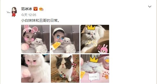 范冰冰晒萌宠恋爱日常 网友:简直是李晨"夫妇"翻版