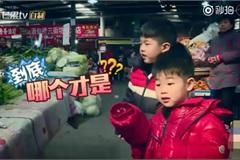 妈妈是超人安吉一招降服贪玩小鱼儿 菜市场买菜
