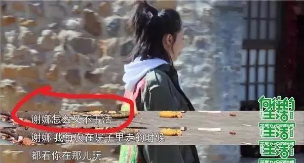 白百合为人怎样看谢娜赵丽颖反应就知 她大学老师受访都沉默了