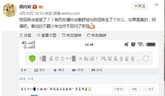 曝秦舒培产女陈冠希当爸 张柏芝被儿子撮合与谢霆锋复合？