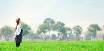 t01f77d077c54201529.png