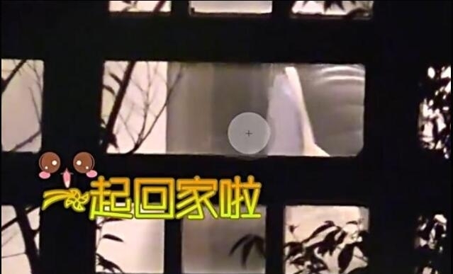 黄轩疑似新恋情曝光 与美女大理新房同住一晚