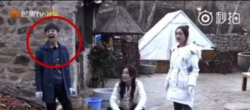 赵丽颖不想干活
