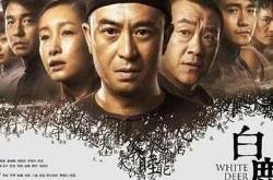 《白鹿原》剧组回应停播：为取更好效果择机播