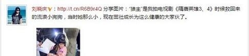 身边小狗长成大家伙 刘晓庆却风韵不减当年