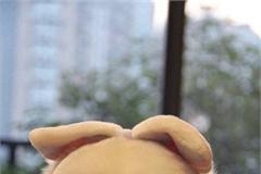 心疼赵本山！妞妞怀孕上热搜没想到他也躺枪 原