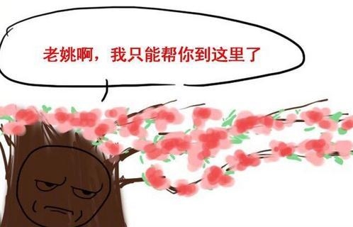 卓伟一组漫画暗示跟了12年的大料 马伊琍赵薇躺枪姚明好受伤