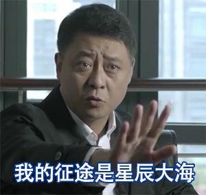 把HDboys扔到荒岛上求生 高育良最先挂孙连城超开心  《人民的名义》这部电视剧已经是彻底深入人心，用网友的话说就是，一个小小的光明区长孙连成都有粉丝，几大个性鲜明的主演就更加不用说了。看剧的观众代入感太强，替剧中的演员们组了个话题，如果把沙瑞金、李达康、高育良、祁同伟、赵东来、赵瑞龙、孙连城等HDboys扔到荒岛上求生，谁会最先挂?对此，网友分别有不同的看法。  其中得票数最高且没有分歧的答案是，最先挂的人肯定非高育良莫属。高育良虽然是这些HDboys里边最会说话还会装糊涂的人，但他输在年龄和身体上。当了多年领导的他即将到退休的年纪，在荒岛上求生的话，他绝对体力不支，不能保证自己的人身安全。  而最有可能生存下来的人反而是一向喜欢搞小团体的祁同伟。对于祁厅长这个人，网友有两种理由来支持他。一是祁同伟这个人急功近利，为了权利和官位，可以在一个自己讨厌至极却又有着深厚背景的梁璐面前下跪求婚，所以一旦被扔到荒岛上，这样一个党性不强又没什么原则的人，他为了活命肯定什么事情都能干出来!另外，祁同伟会挖地种菜，最擅长讨好别人，说不定他能在荒岛上找到金矿。  沙瑞金是汉东省的一把手，他在这个队伍里的权利也是最牛逼的，领导的架子不能少，所以他很有可能还是HDboys里的领头者，带领大家一起求生。另外，私下里的张丰毅酷爱健身，与高育良扮演者张志坚年龄差不多，但两个人的身体素质因健身而被区分开来，张丰毅的体能明显秒杀张志坚，所以就算中间有人叛变，他也能一个人生活下去。  赵东来和沙瑞金不相上下，除了官位和权利不在一条线上，在荒岛上，他应该是沙瑞金最得力的助手。看过电视剧的网友应该没有错过赵东来打拳击的那一幕吧，他身上的肌肉一看就超级结实，没有一二十年的健身经验，绝对不会有这么棒的身材。两人联手的话，不出意外是荒岛上活得最久的人。  达康书记的年龄也不占优势了，网友打趣道，把全部精力献给工作的他一到荒岛上可能会闹出笑话，首先是霸占山头，然后就是考察情况，先修路后建旅游景点，最后成为荒岛一霸。  赵瑞龙是个公子哥，基本上一辈子都没怎么做过苦力，全身上下散发着一种养尊处优的纨绔子弟气息，所以最不能适应环境的人或许就是赵瑞龙。但这个人头脑灵活点子多，和祁同伟是一路人，在荒岛上搭个伙求生存也是有可能的。  最诗意的就是孙连城了，心怀宇宙的他被扔到黄岛后或许很开心，毕竟他能在一个尚未开发过的地方遥望浩瀚无垠的宇宙了!