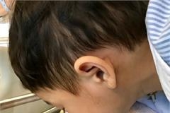 郭晶晶二胎产女儿子趴床边吻妹妹 霍震霆7字形容