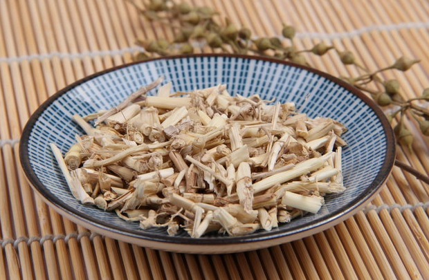 中药白茅根的食用方法 白茅根有什么功用