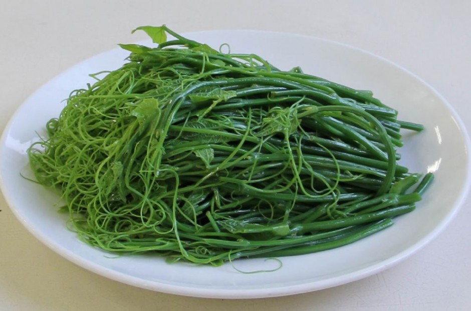 龙须菜的营养价值 吃龙须菜的好处竟有这么多