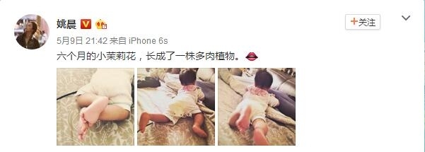 辣妈姚晨晒女儿六月照 小茉莉肉嘟嘟超萌