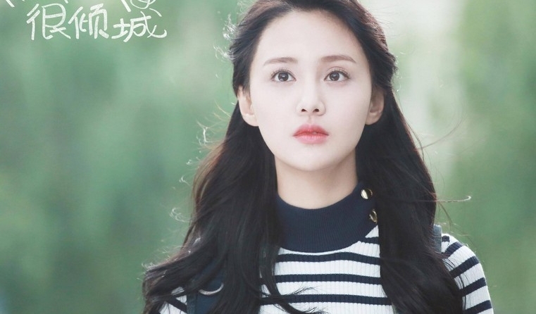 郑爽的狗小七是什么品种