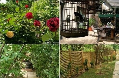 杨幂送父母豪宅曝光 装潢气派还有花园大院