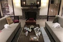 范冰冰深夜与猫同住李晨竟问什么姿势 还发了这