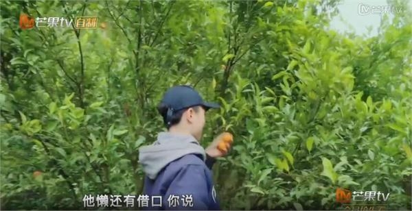 新一季变形计唠叨小哥走红口头禅笑喷网友 暴打室友太解气