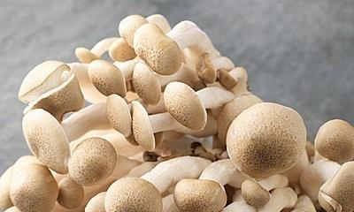 20100820093144598.jpg