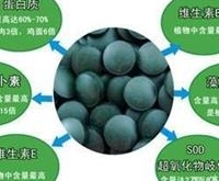 螺旋藻的主要功效