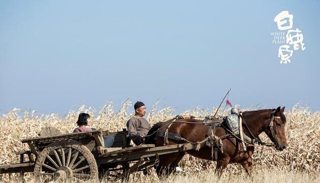 电视剧白鹿原剧照