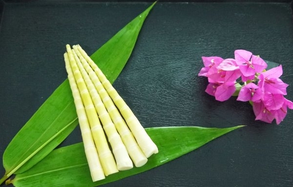 吃竹笋有什么坏处