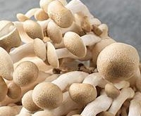 5种恢复免疫力超强的食物