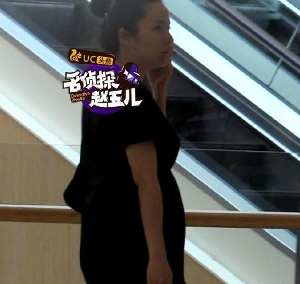 靳东老婆被曝怀二胎