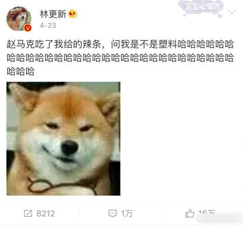 高圆圆成娱乐圈瓦数最大电灯泡 赵又廷林更新有爱日常太高甜
