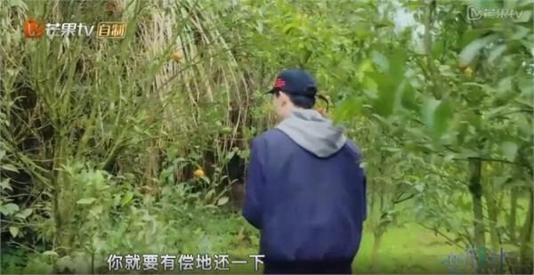 新一季变形计唠叨小哥走红口头禅笑喷网友 暴打室友太解气