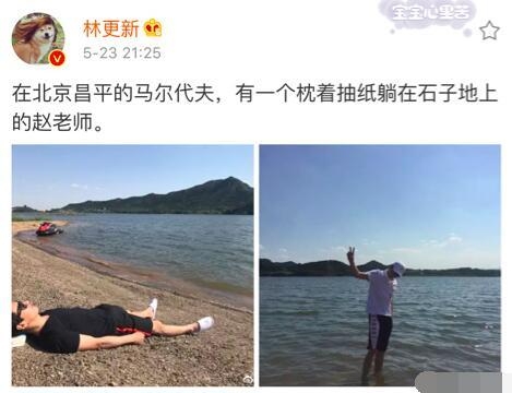 高圆圆成娱乐圈瓦数最大电灯泡 赵又廷林更新有爱日常太高甜