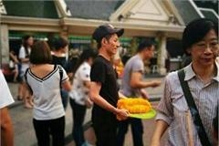 维嘉泰国拜佛瘦到皮包骨 手臂青筋暴露让人心疼