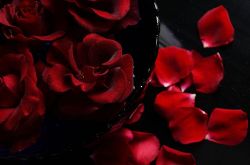 玫瑰有哪些疗效？玫瑰花泡水有什么禁忌？