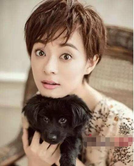 孙俪拍完戏将剧组的驴送上道观 千叮万嘱：驴没了我也不演了