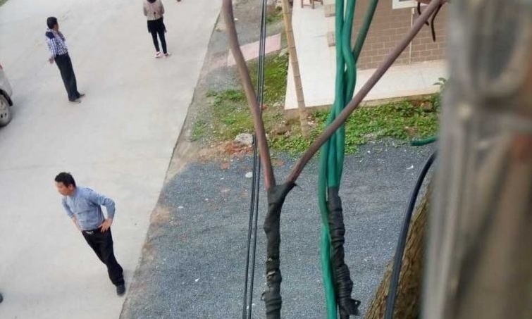男孩爬高压线掏鸟