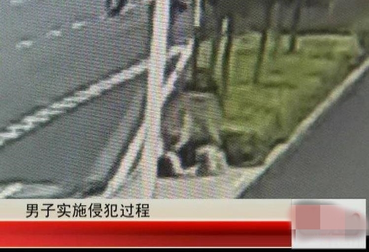 女子当街遭扑倒扒衣