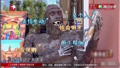 林志玲费了好大劲帮沈腾运回国的那只猴子 竟然是广州产