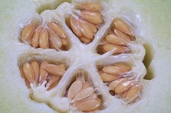 咸肉冬瓜汤的做法 夏季来碗它清热解毒