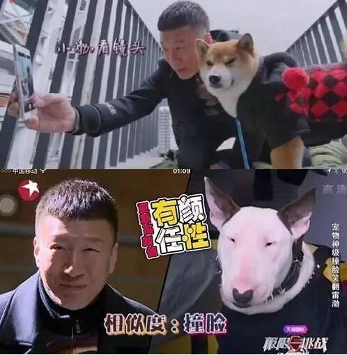 冯小刚劝演员少参加综艺对演技有伤害 拿孙红雷举例却闹出大笑话