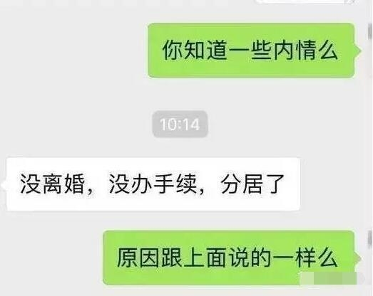 圈内人曝周迅高圣远离婚真相：他们没办手续 只是分居了